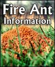 ACES Fire Ant Information