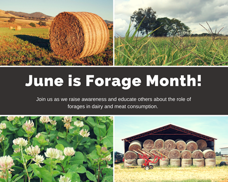 Forage month