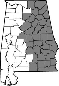 Map of employee responsibility