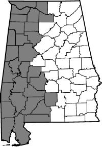 Map of employee responsibility