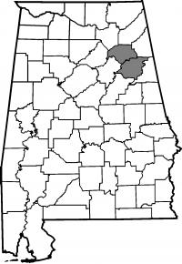 Map of employee responsibility