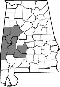 Map of employee responsibility