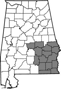 Map of employee responsibility