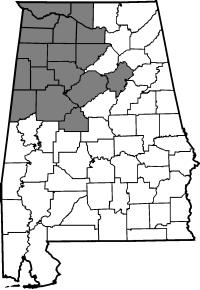 Map of employee responsibility