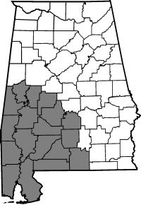 Map of employee responsibility