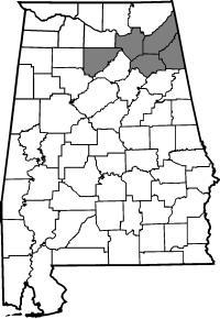 Map of employee responsibility