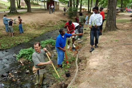 rocky brook