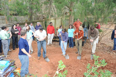 rain garden