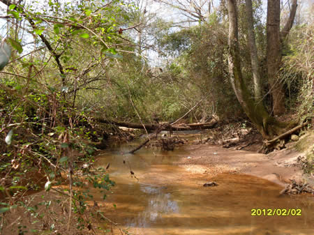 Eroding Streambank