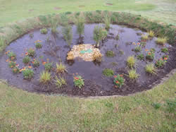 Turf Unit Rain Garden