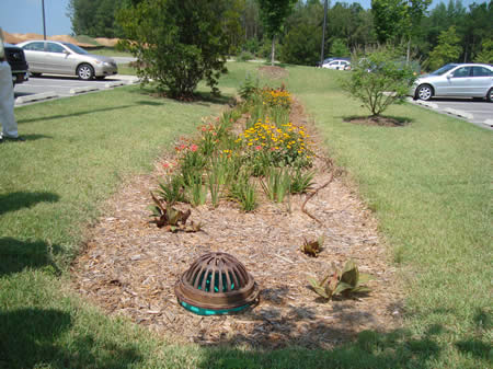 bioswale, Auburn, AL