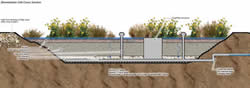 Bioretention Cell Cross Section