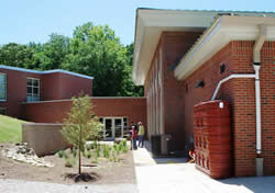 Rain Garden and Cistern