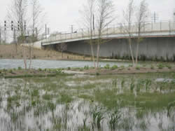 Bioretention Railroad Park