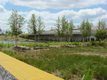 Railroad Park Bioretention Cell