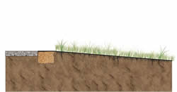 Grassed Filter Strip Cross Section