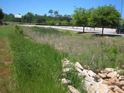 Constructed Stormwater Wetland at Hank Aaron Stadium