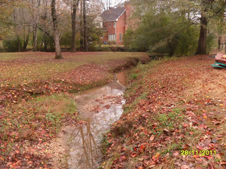 Streambank