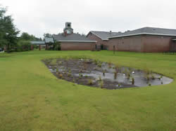 Bioretention cell 3 months post installation