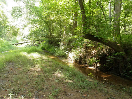 Field exercise site for workshop