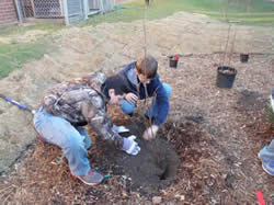 Students install plants in bioretention area