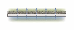 Straight Level Spreader Plan View