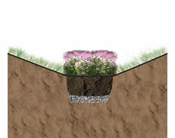 Infiltration Swale with Bioretention Media Mix