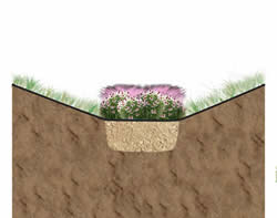 Infiltration Swale with Amended Soil