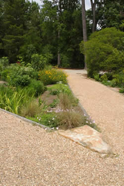 Arboretum Rain Garden