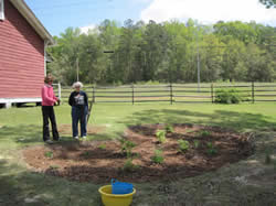 Rain Garden at Pioneer Museum; Troy, AL