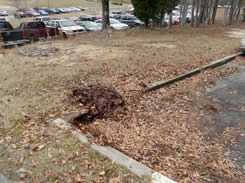 Leaf debris clogging inlet