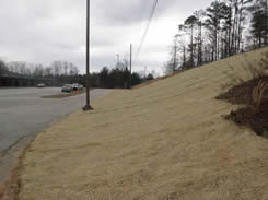 Repaired Northern Cut Slope