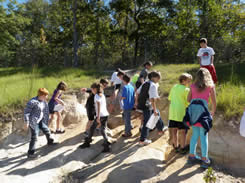 Cut slope behind playground