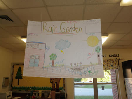 Rain Garden drawing