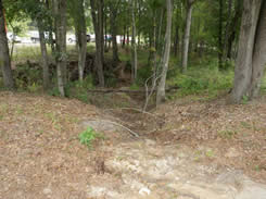 Erosion of Ephemeral Stream Channel at Central