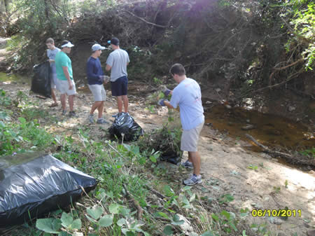 IMPACT Kudzu Cleanup