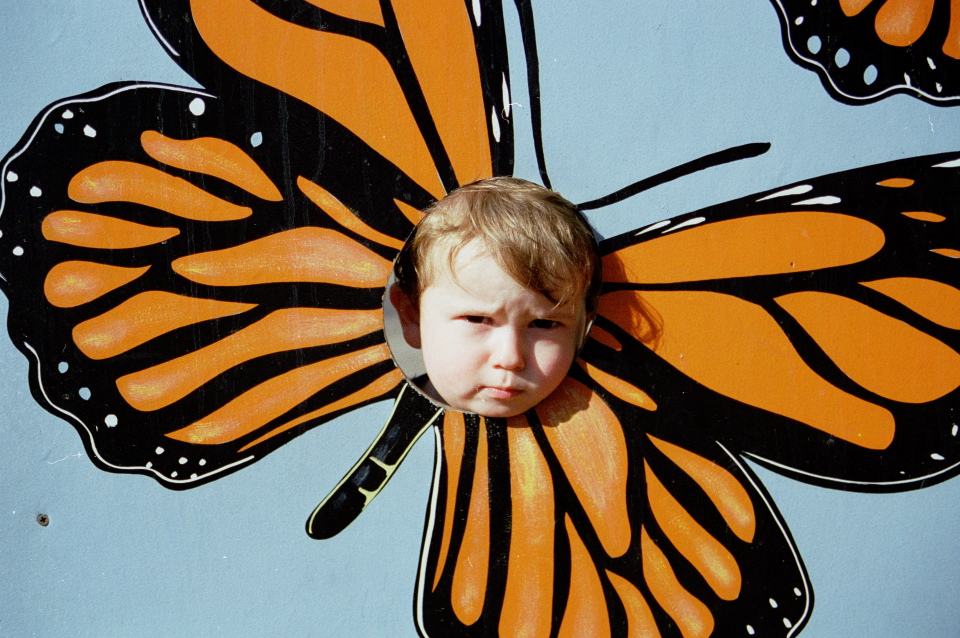 jacob as a butterfly.jpg
