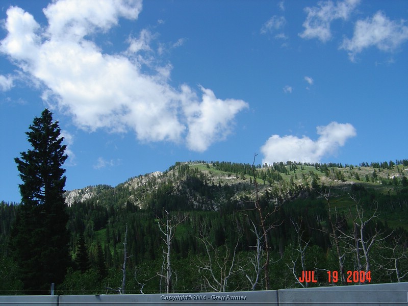 slc04_ 016.jpg