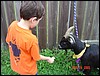 jacob_feeding_goat2.jpg